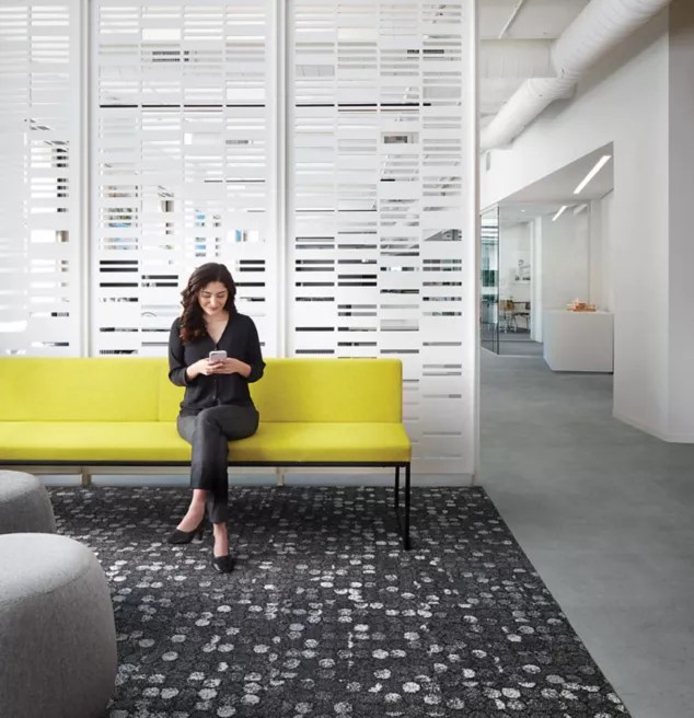 Area Rugs Commercial Carpet Tile & Resilient Flooring Interface